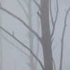 Fog Tree